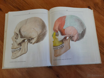 Legendární učebnice Radomíra Čiháka, Anatomie 1 - 8