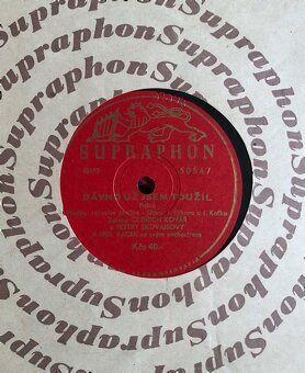 STAROŽITNÉ ORIGINÁLNÍ GRAMOFONOVÉ DESKY VŠE 1499 Kč - 8