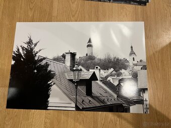 Fotografie černobílé - 8