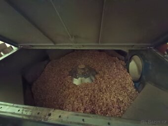 Briketovací lis - 8