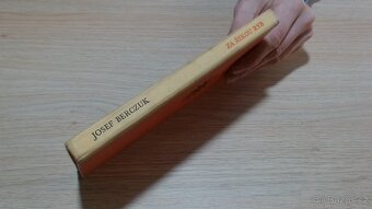 Berczuk - Za řekou ryb - 8