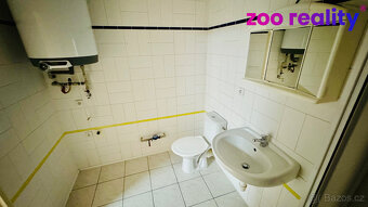 Pronájem, byt 1+kk, 33 m2, Vráto - 8