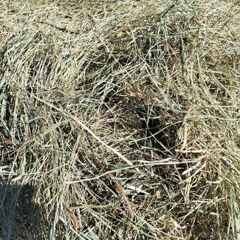Prodám malé hranaté balíky slamy - 8