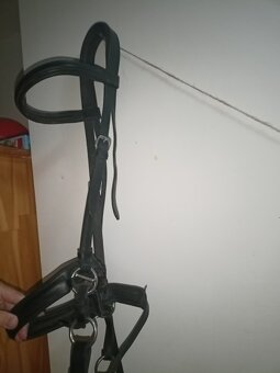 Potřeby pro koně - 8