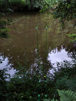 Sumcové pruty Delphin monstro 2,1m 250g + - 8