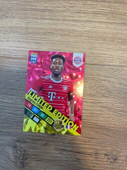 Fotbalové kartičky - 8