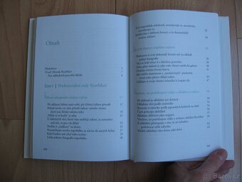 Žít s radostí - Marie Kondo - 8