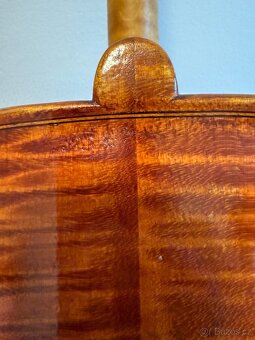Krásné violončelo - 8