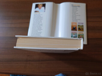 Vůně posečené trávy - Ivanka Devátá - 8