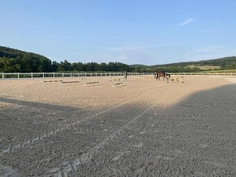 Ustájení koní - Plzeň - jih - 8