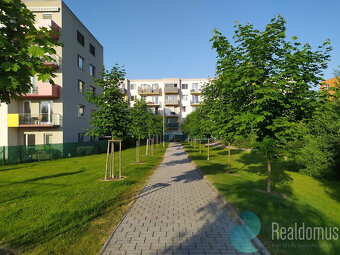 Pronájem, byt 1+kk, 37m2, balkón 6m2, sklep, Husova tř., okr - 8