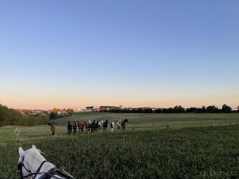 HŘÍBÁRNA NA EDENU - 8