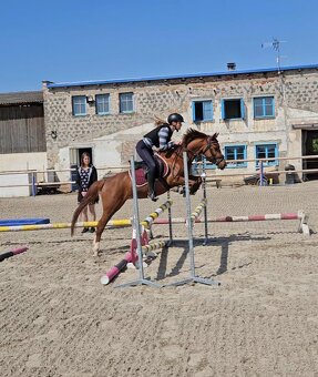 Pony B do sportu - 8
