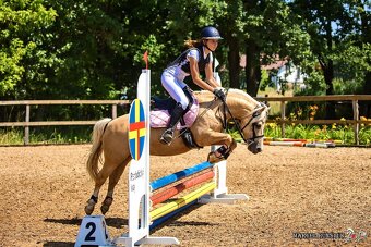 Prodej sportovního pony S - 8