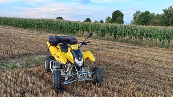 Access Tomahawk SP300S - 8