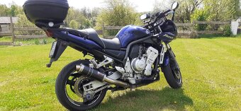 FZS 1000 - 8