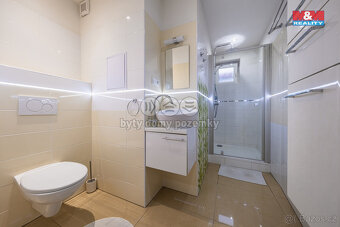 Pronájem bytu 1+1, 42 m², Louny, ul. Smetanova - 8