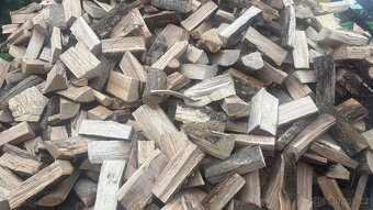 Palivové dřevo - 8