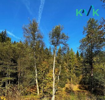 Rodinný dům, prostorná garáž, údolí obce Rotava - Šindelová - 8