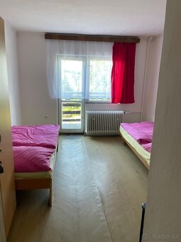 Pronájem RD Černá za Bory - 8
