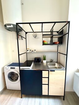 Pronájem bytu 1+KK - Karlin - 8