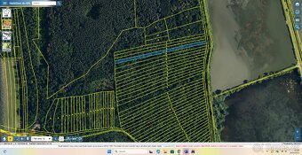 Prodej pozemků 13.772 m² Dolní Bojanovice - 8