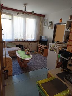 Prodej bytu 1+1 Č. Budějovice - 8