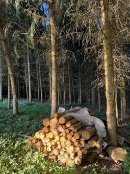 Prodám lesní pozemky v k.ú. Lužná u Vsetína - 8