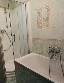 Pronájem bytu 2+kk-Vinohrady - 8