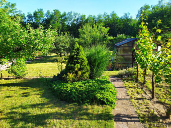 Prodej zahrady 585 m2, Hodonín - 8