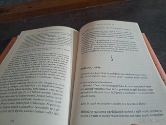 Moc přítomného okamžiku, Tolle - 8