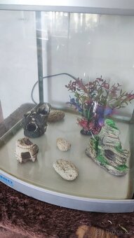 Aqaurium tank CR - 320 + vybavení - 8