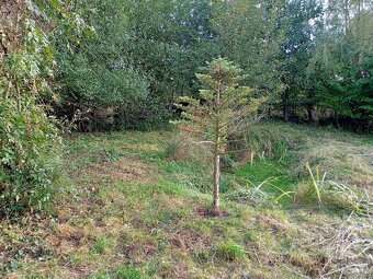 Prodám stavební pozemek - 8