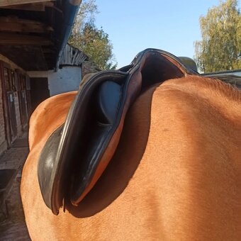 Prodám sedlo Ketaur Hanulay II - 8