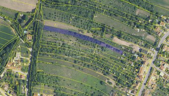 Prodej zahrady 3 135 m2 Brno - Jehnice, ev.č. 00518 - 8
