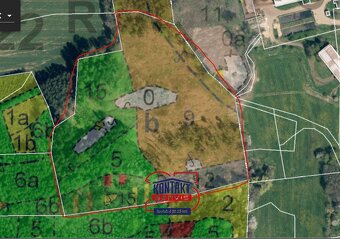 prodej lesních pozemků s kvalitními porosty u obce Ješetice - 8