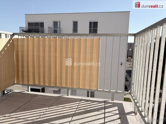 Pronájem bytu 1 + kk, 32 m2, Otrokovice - 8