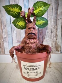 Mandragora Harry Potter - 8