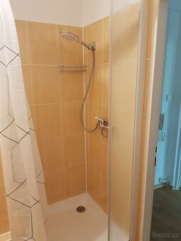Pronajmu byt 1+1 ve Veselí nad Moravou - 8