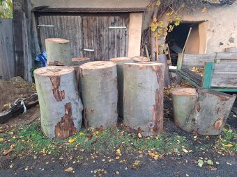 Špalek na štípáni dřeva - bukový - 8