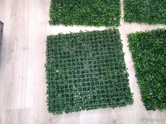 Sada umělých panelů Boxwood – 24 ks 50x50cm - 8