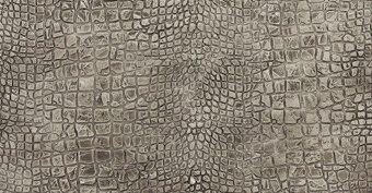 Nový válec SPIVER Coccodrillo se šířkou 18 cm - 8