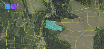 Souhrn lesních pozemků Pěčíkov u Městečka Trnávky - 8