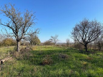 Prodej zahrady blízko Brna (767 Kč/m2) možný zahradní domek - 8