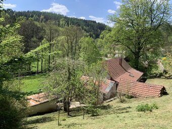 Prodej chalupy 175m², pozemek 5117 m² Svojanov - Dolní Lhota - 8