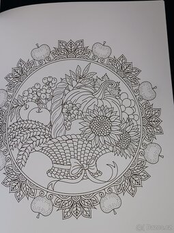 Omalovánky 50 Autumn Mandalas - 8