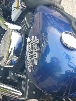 Harley-Davidson FXDB 103 Street Bob 2015 - 8