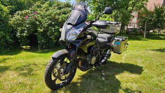 Prodám Suzuki V strom 1000 - 8
