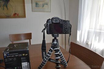 SONY DSC-RX10 - 8