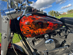 Harley Davidson, Fat Boy, r.v. 2003 - 8
